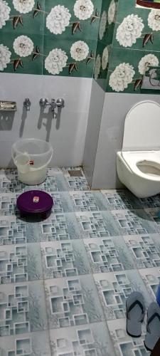 a bathroom with a toilet and a bowl on the floor at Gurez knights in Kanzalwan