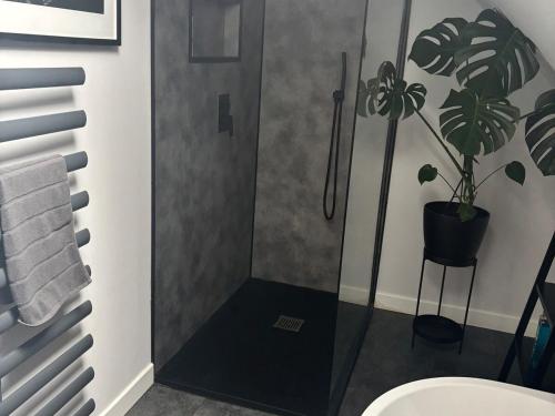 a bathroom with a shower with a plant in it at 3 Linshader in Callernish