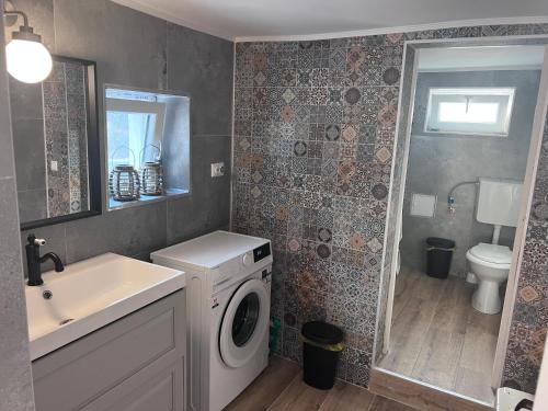 a bathroom with a washing machine and a sink at Casa Albastra in Mahmudia