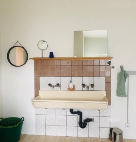 a bathroom with a sink and a mirror at Buddha-Loft in Solothurn