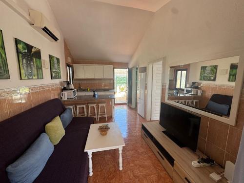 Santafe holiday palm 42
