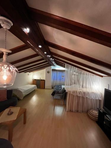 ein großes Wohnzimmer mit Sofa und Fernseher in der Unterkunft Casa Foresta in Maggia