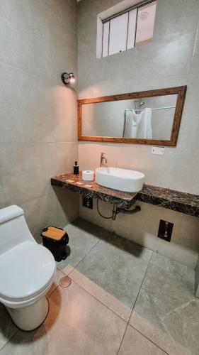 a bathroom with a toilet and a sink and a mirror at Hostel Willys House in Paracas