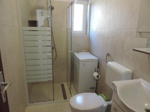a bathroom with a shower and a toilet and a sink at Apartmani Antica in Cres
