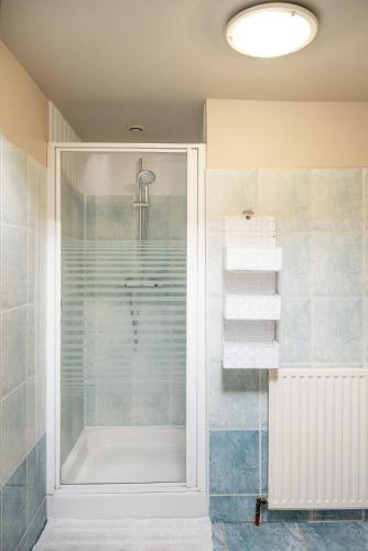 a shower with a glass door in a bathroom at Appartements en centre ville à Châteauroux Indre in Châteauroux