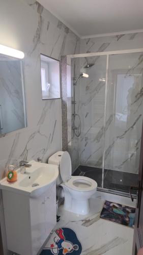 a bathroom with a toilet and a sink and a shower at Pensiunea Rozalina in Rozavlea
