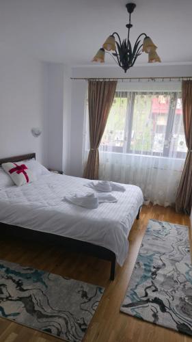 a bedroom with a bed and a large window at Pensiunea Rozalina in Rozavlea
