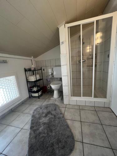 ein Badezimmer mit Dusche und Toilette in der Unterkunft Casa Foresta in Maggia