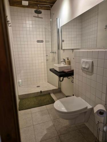 a bathroom with a toilet and a sink and a shower at Guest room with a mountain view in Laugarvatn