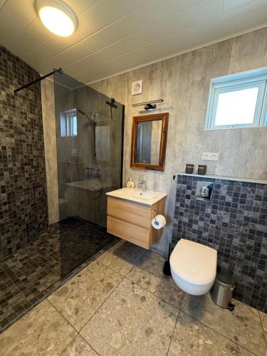 a bathroom with a toilet and a shower and a sink at Svalbarð guesthouse in Hvammstangi