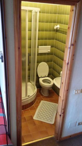 mała łazienka z toaletą i prysznicem w obiekcie Albergo Casa Della Neve w mieście Stresa