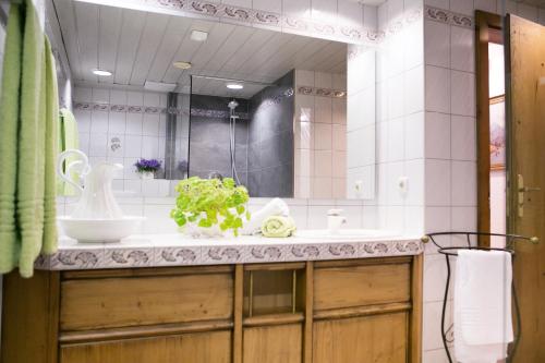 Koupelna v ubytování Chalet am Frohmarkt