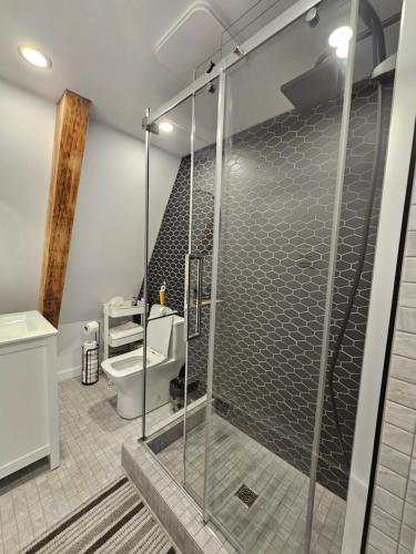 ein Badezimmer mit Glasdusche und WC in der Unterkunft Chalet le Léandre in Cabano