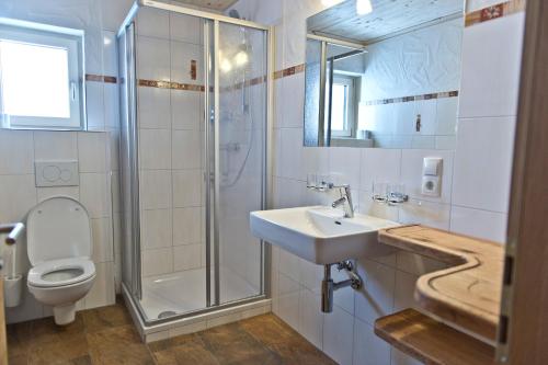 a bathroom with a toilet and a sink and a shower at Ferienhäuser Tschofen Garfrescha in Sankt Gallenkirch