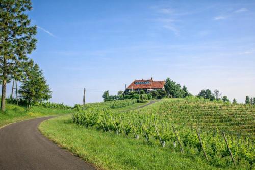 a house on top of a hill with a road at Taverna & Wine Jeruzalem in Ivanjkovci
