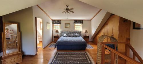 a bedroom with a bed and a ceiling fan at Clarents Cottage in Somerset West