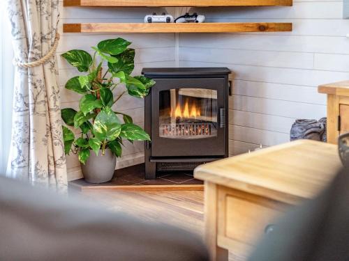 a fireplace in a living room with a plant at Lavender Lodge in Derby