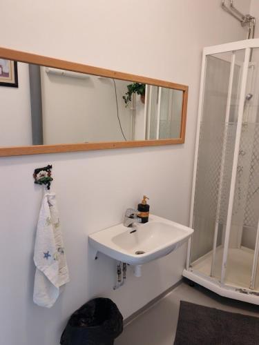 a bathroom with a sink and a mirror at Huone 2-4 henkilölle Inkoossa in Inkoo