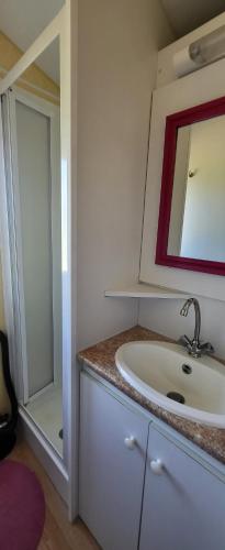 a bathroom with a sink and a mirror at Les cabanes du veau in Daumeray