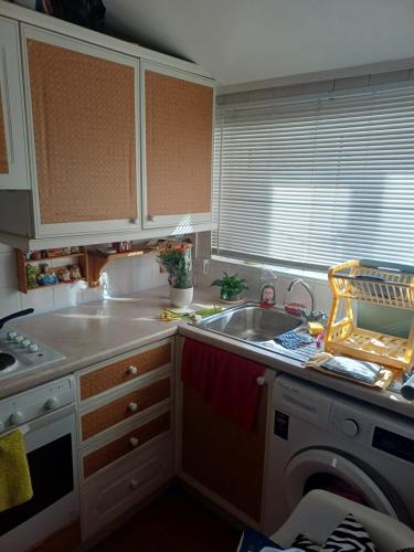 a kitchen with a sink and a dishwasher at Entire flat with 2 separate rooms in Norwood