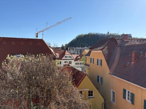 Graz City Penthouse