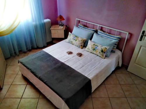 '' Tranquility '' The Shelter in the city !!!