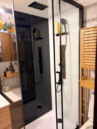 a shower with a glass door in a bathroom at Le Ptit studio du vieux moulin in Rochefort