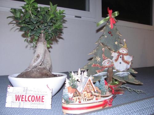 a christmas tree and a book on a table with a christmas decorations at Folco Studio Apartment in Piazza Armerina