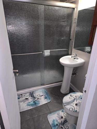 a bathroom with a shower and a toilet and a sink at Convenient Downtown Apartment in Saint Louis
