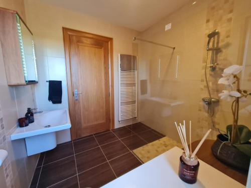 a bathroom with a shower and a sink at Three Hares Farmhouse, Galway in Craughwell