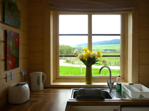 a kitchen sink with a vase of flowers in a window at Lapwing Lodge in Dumfries