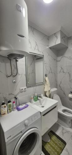 a bathroom with a washing machine and a sink at Apartman Ivan Trebinje in Trebinje