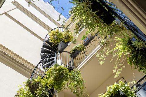 Arioso photo 72