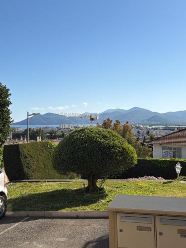 Casarossa2