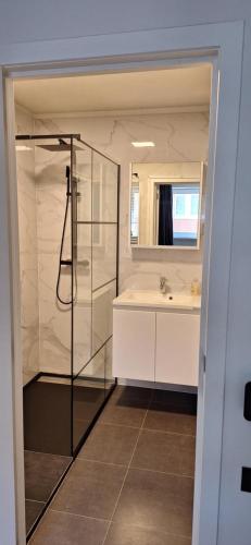 a bathroom with a shower and a sink at Koksijde Zeedijk LaDigue102 appartement-lateraal zeezicht - baby's niet meer toegestaan in Koksijde
