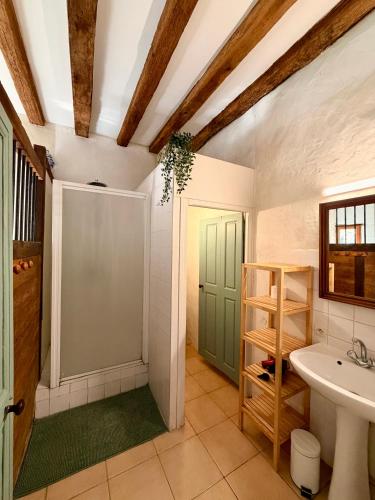 a bathroom with a sink and a green door at Aux Ecuries du Signe in Amboise