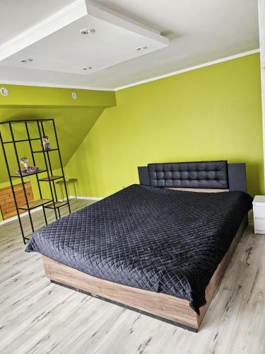 a bedroom with a black bed in a green wall at Dom na wynajem Pasym in Pasym