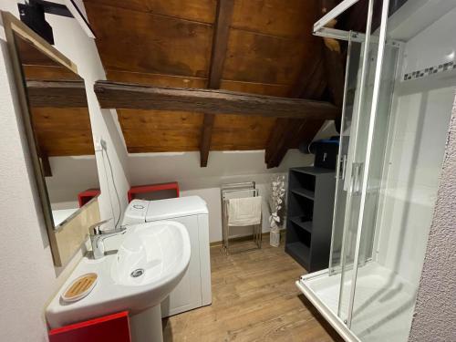 a bathroom with a sink and a glass shower at Duplex rénové avec terrasse privative à 10 mm de Colmar et Eguisheim, à 2 mm du grand axe autoroutier Strasbourg Mulhouse in Sainte-Croix-en-Plaine