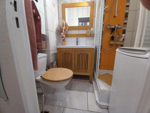 a bathroom with a toilet and a sink and a shower at studio cabine tous cocooning in Gruissan