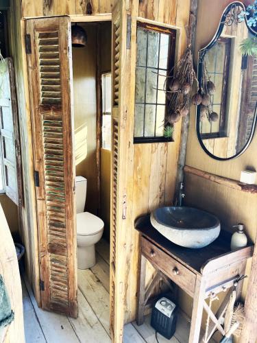 a bathroom with a sink and a toilet and a mirror at Bamboo Lodge Groningen in Groningen