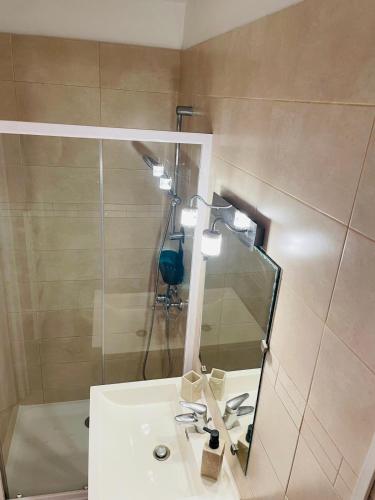 a bathroom with a shower and a sink with a mirror at Le Val Claret in Antibes