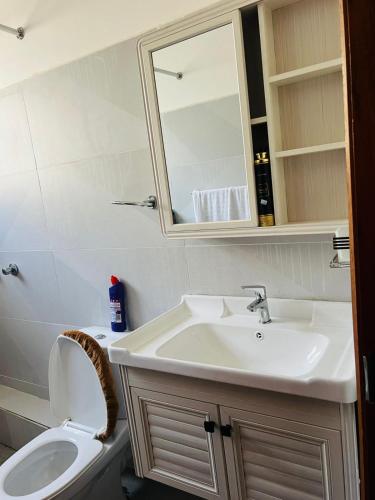 a bathroom with a sink and a toilet and a mirror at Eunas homestay in Eldoret