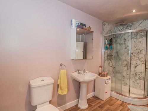 a bathroom with a toilet and a sink and a shower at The Flat House in Taunton