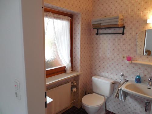 a bathroom with a toilet and a sink and a window at Schmidhauser Hof in Unterwössen