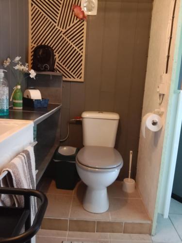 a bathroom with a toilet and a sink at gite du guip in Trégourez