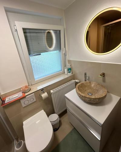 a bathroom with a sink and a toilet and a window at BioNestlein Premium Apartments mit Biosauna, Wintergarten & exklusiver Bio-Verpflegung in Löffingen
