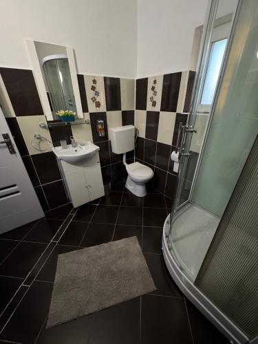 a bathroom with a shower and a toilet and a sink at Luci's House in Jucu de Mijloc