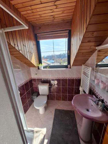 a bathroom with a toilet and a sink and a window at Penzion Ranch FAH in Spišské Podhradie