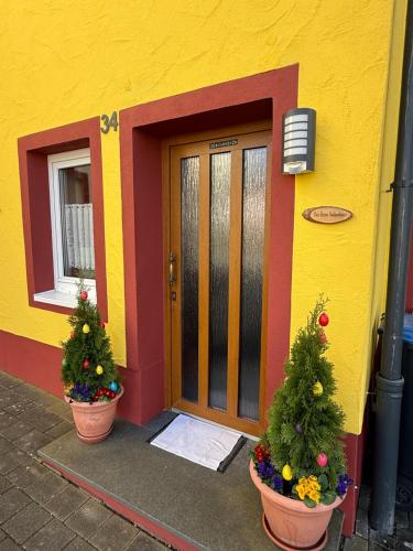 two christmas trees in pots outside of a house at Das kleine Vulkanhaus in Daun