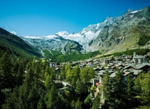 Charming studio in Saas Fee R